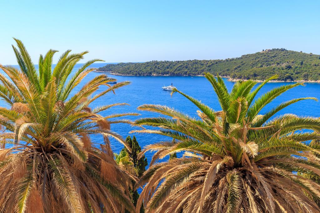 Two Palm Trees Dubrovnik